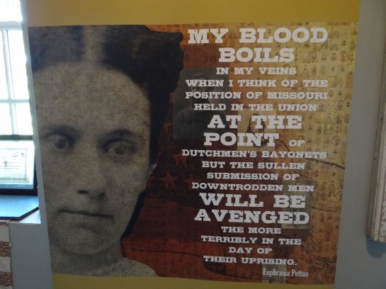 Civil War My Blood Boils Euphrasia Pettus