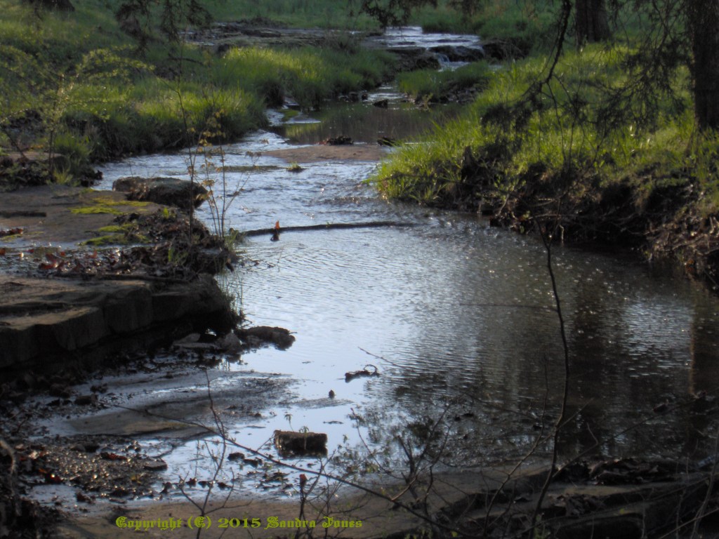 My View of The&nbsp;Creek