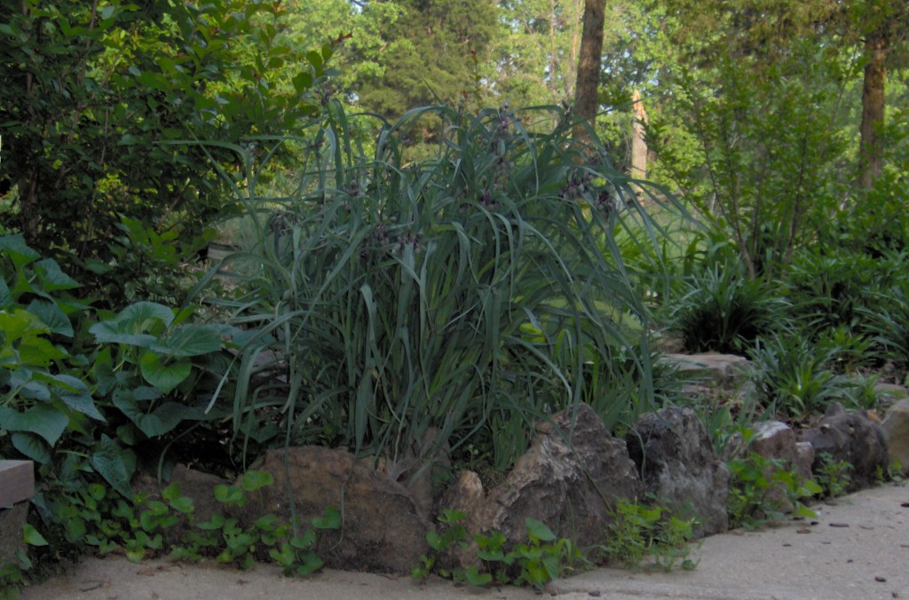 Myths of the Mirror: Writing From the Inside&nbsp;Out